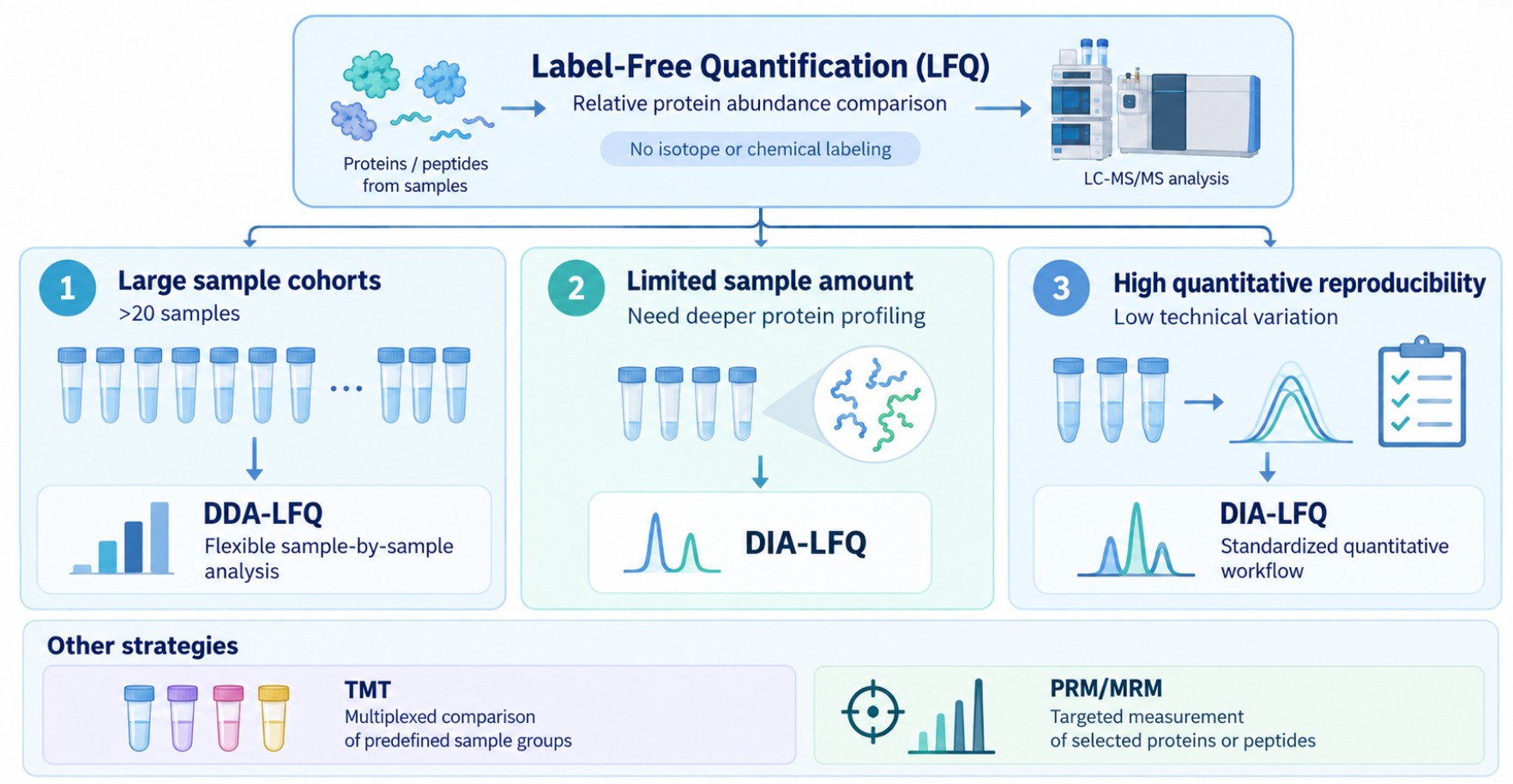 Quantitative proteomics strategy selection diagram for LFQ, DIA-LFQ, TMT, and targeted proteomics methods.