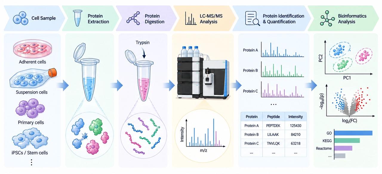cell-proteomics-principles-workflow-and-applications-3