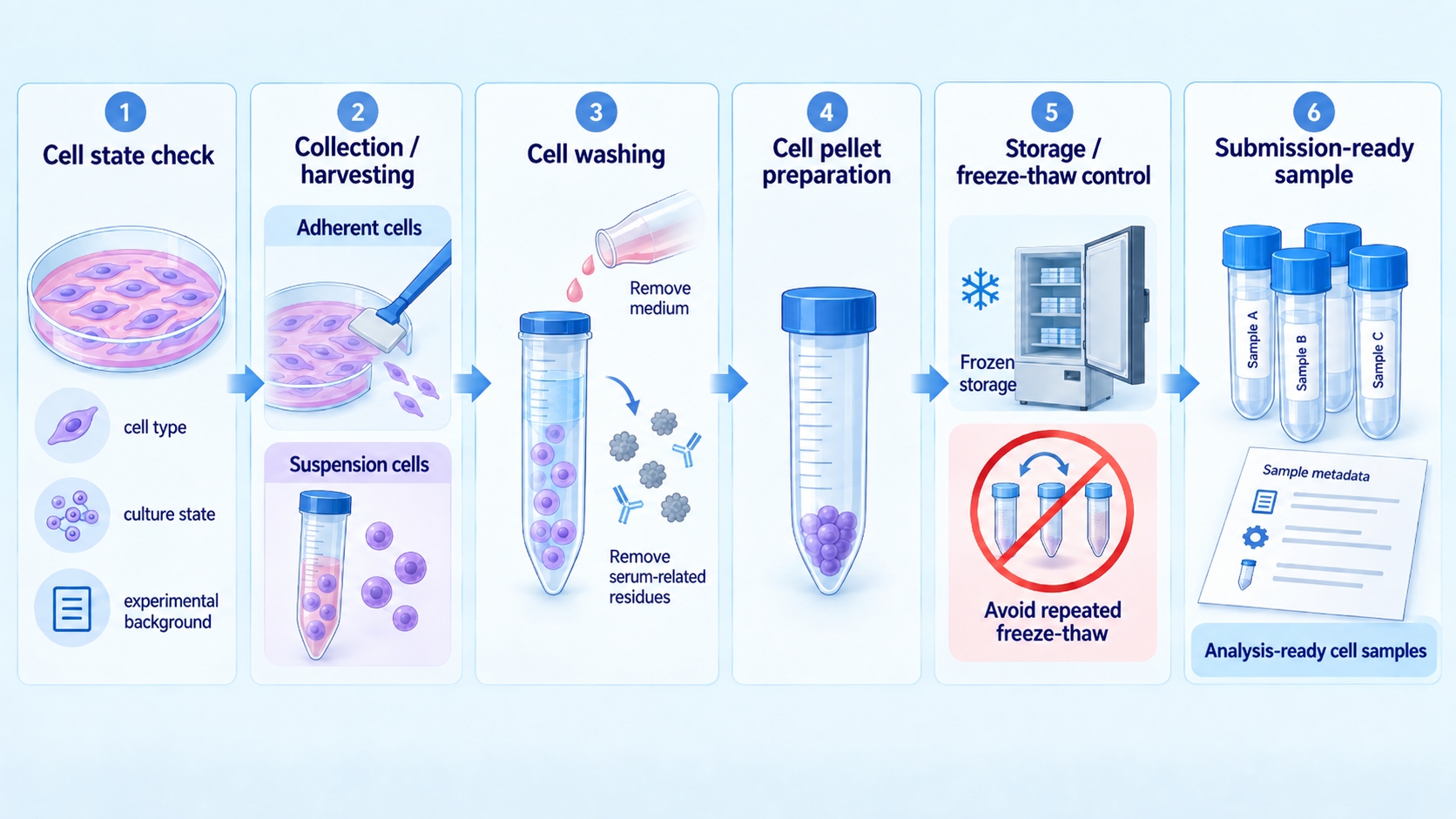 preparing-cell-samples-for-proteomics-analysis-collection-storage-and-handling-1