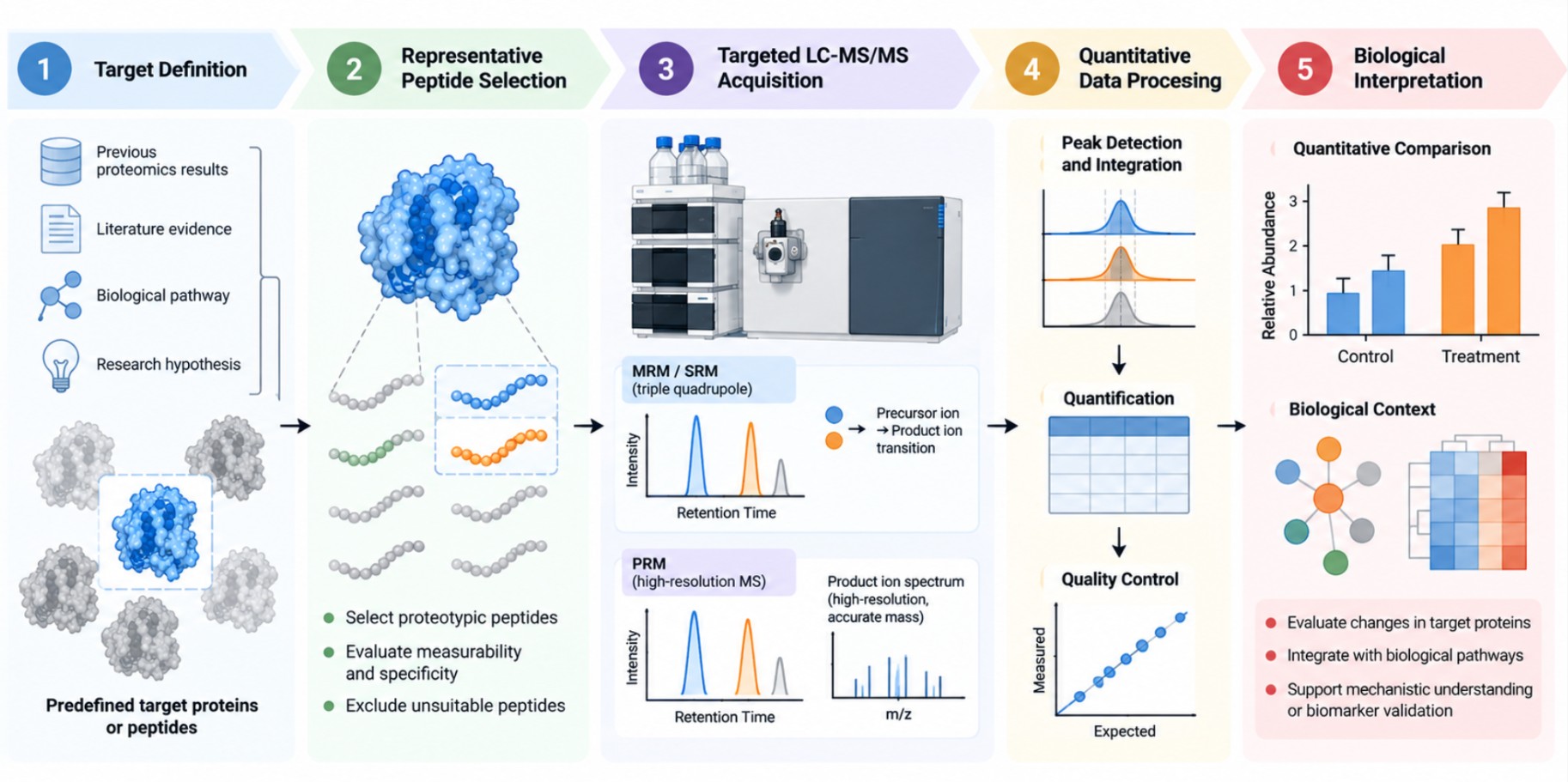 Targeted quantitative proteomics workflow from target selection to LC-MS/MS analysis and quantitative interpretation.