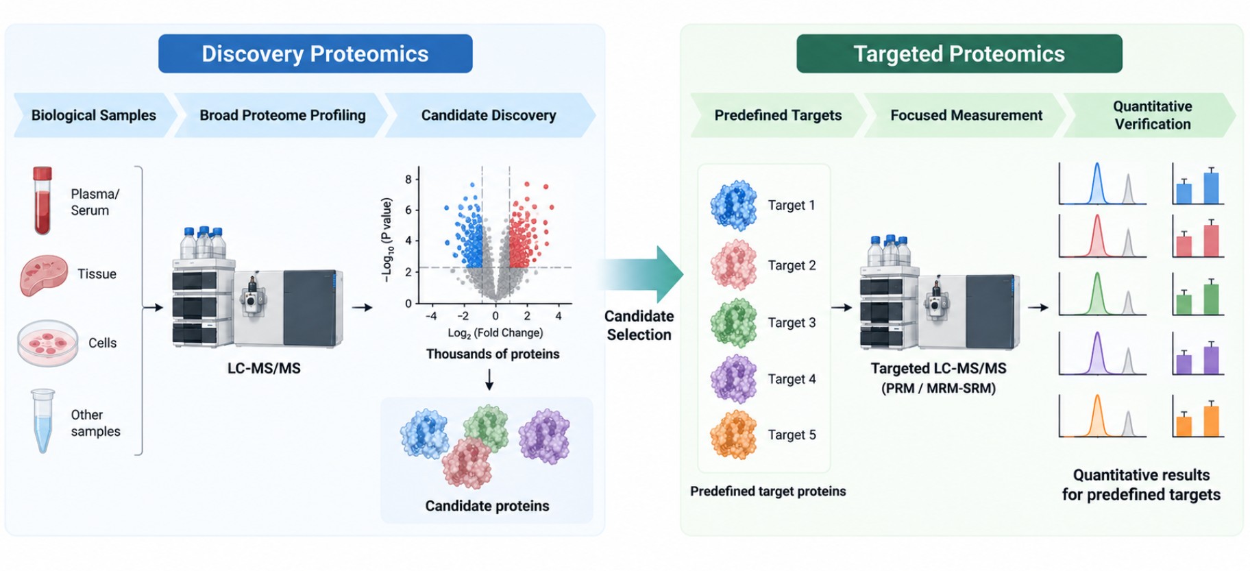Discovery vs targeted proteomics for broad protein profiling, candidate discovery, and focused quantitative verification