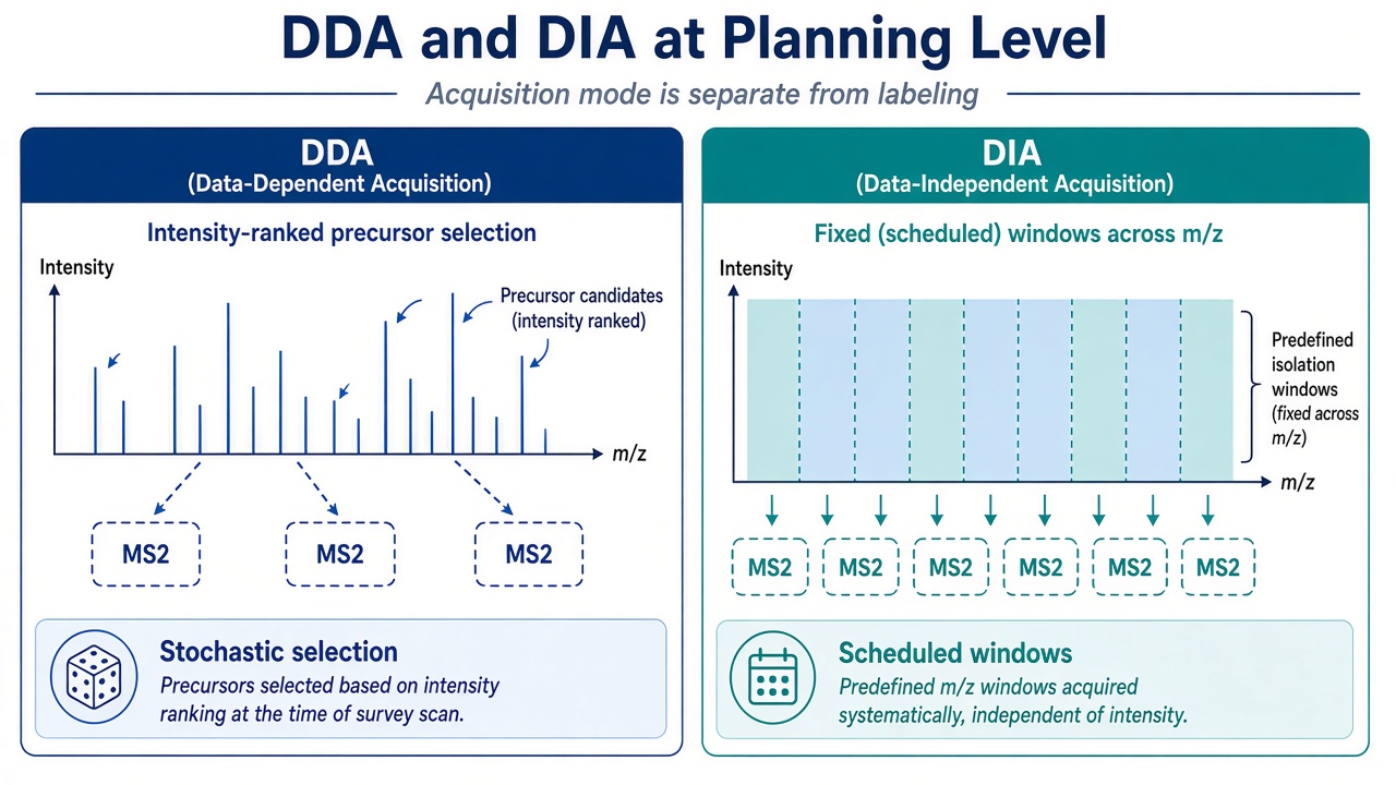 Planning-level comparison of DDA stochastic selection and DIA scheduled windows Planning-level comparison of DDA stochastic selection and DIA scheduled windows