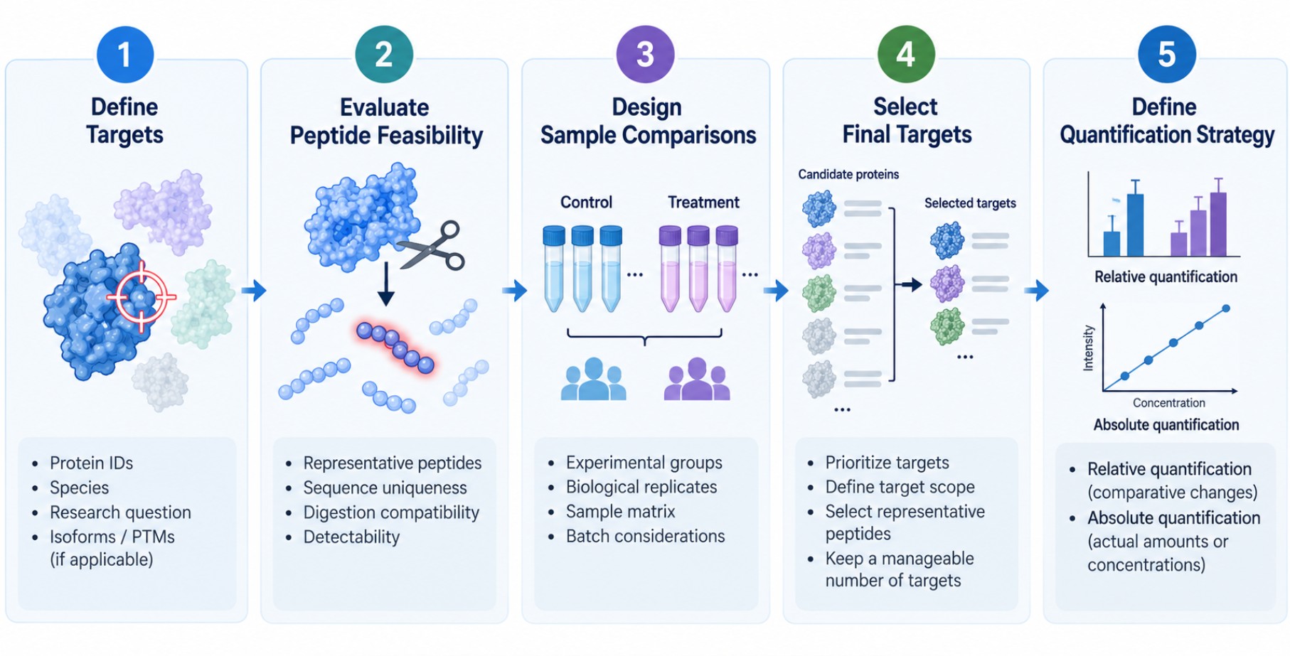 Targeted proteomics experimental design workflow covering target definition, peptide feasibility, sample design, target selection, and quantification strategy.