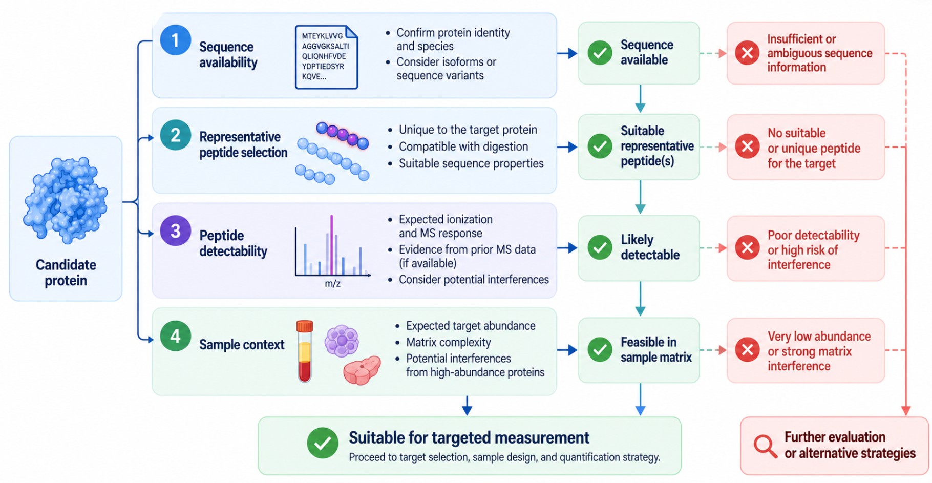 Targeted proteomics feasibility assessment based on sequence availability, representative peptides, detectability, and sample matrix.