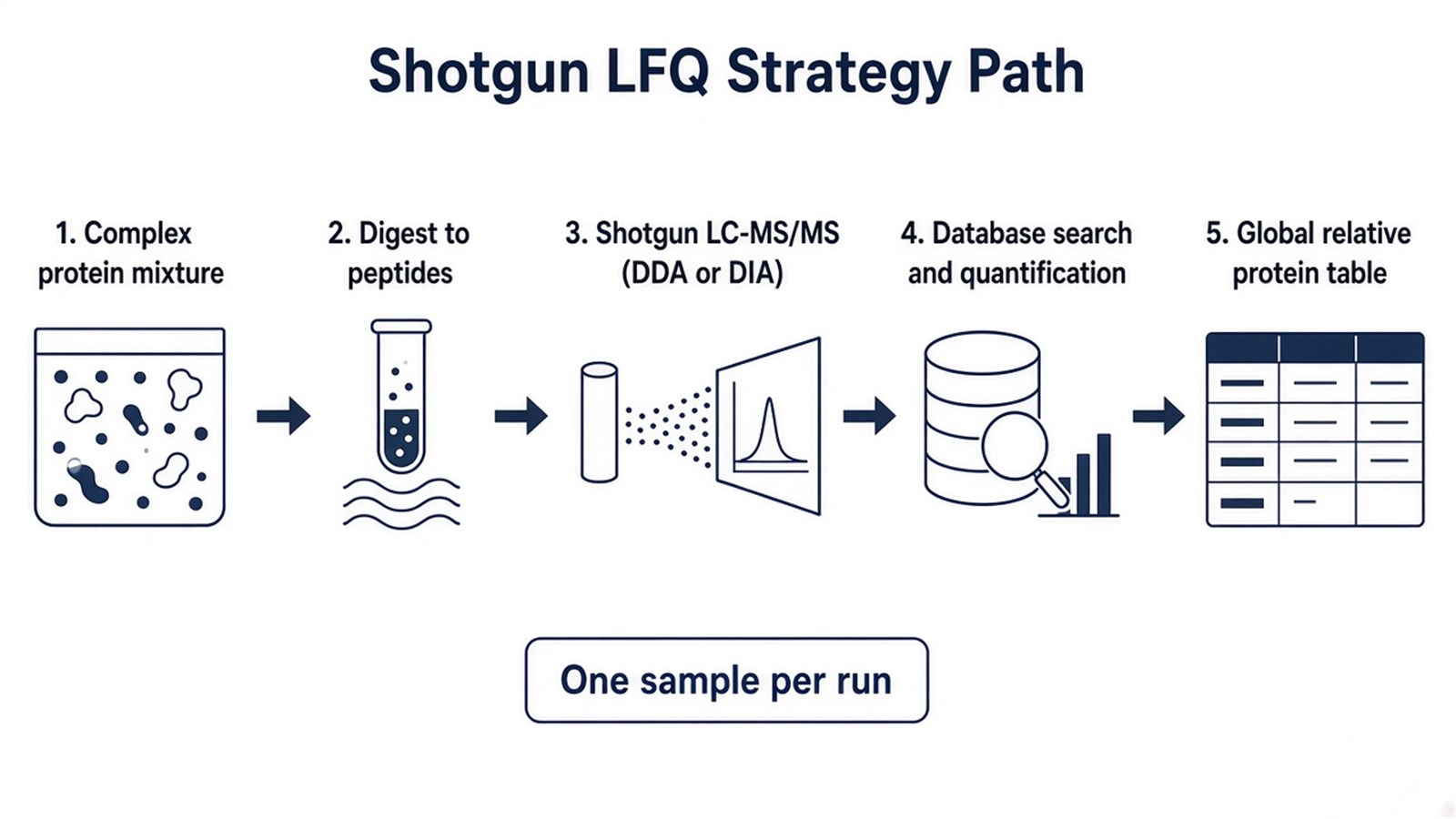 Path from a complex protein mixture through digestion, shotgun LC-MS/MS, database search and quantification, to a global relative protein table Path from a complex protein mixture through digestion, shotgun LC-MS/MS, database search and quantification, to a global relative protein table