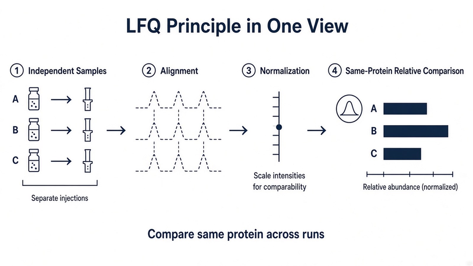 Principle schematic of independent sample injections aligned and normalized for same-protein relative comparison across runs Principle schematic of independent sample injections aligned and normalized for same-protein relative comparison across runs