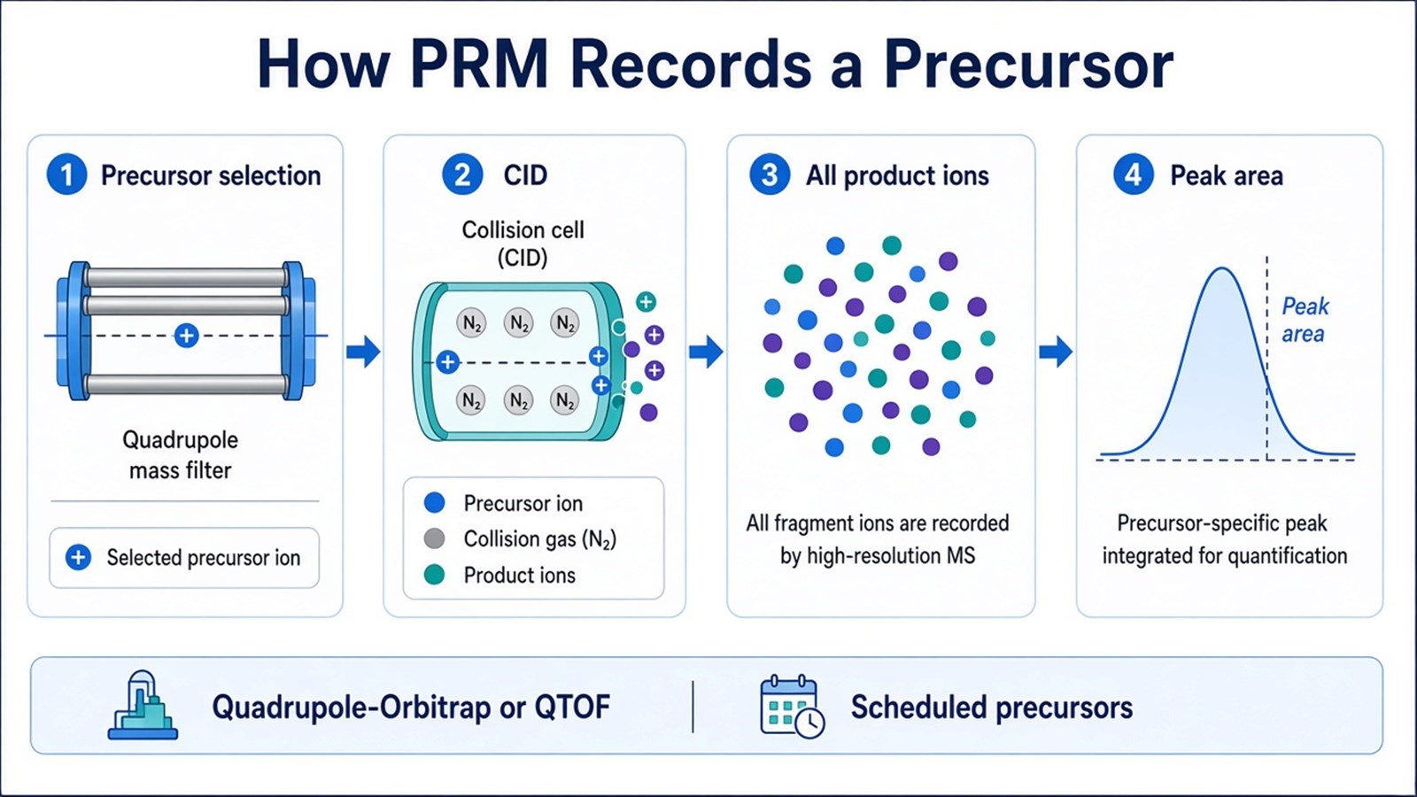 PRM workflow from precursor selection and CID to recording all product ions and extracting a chromatographic peak area PRM workflow from precursor selection and CID to recording all product ions and extracting a chromatographic peak area