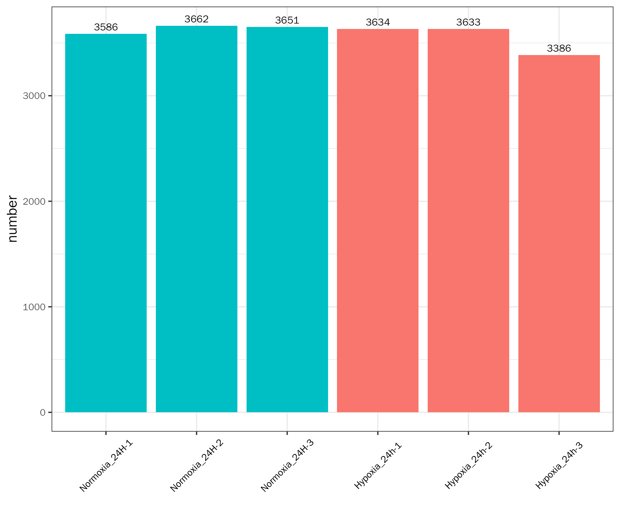 Protein Identification Summary