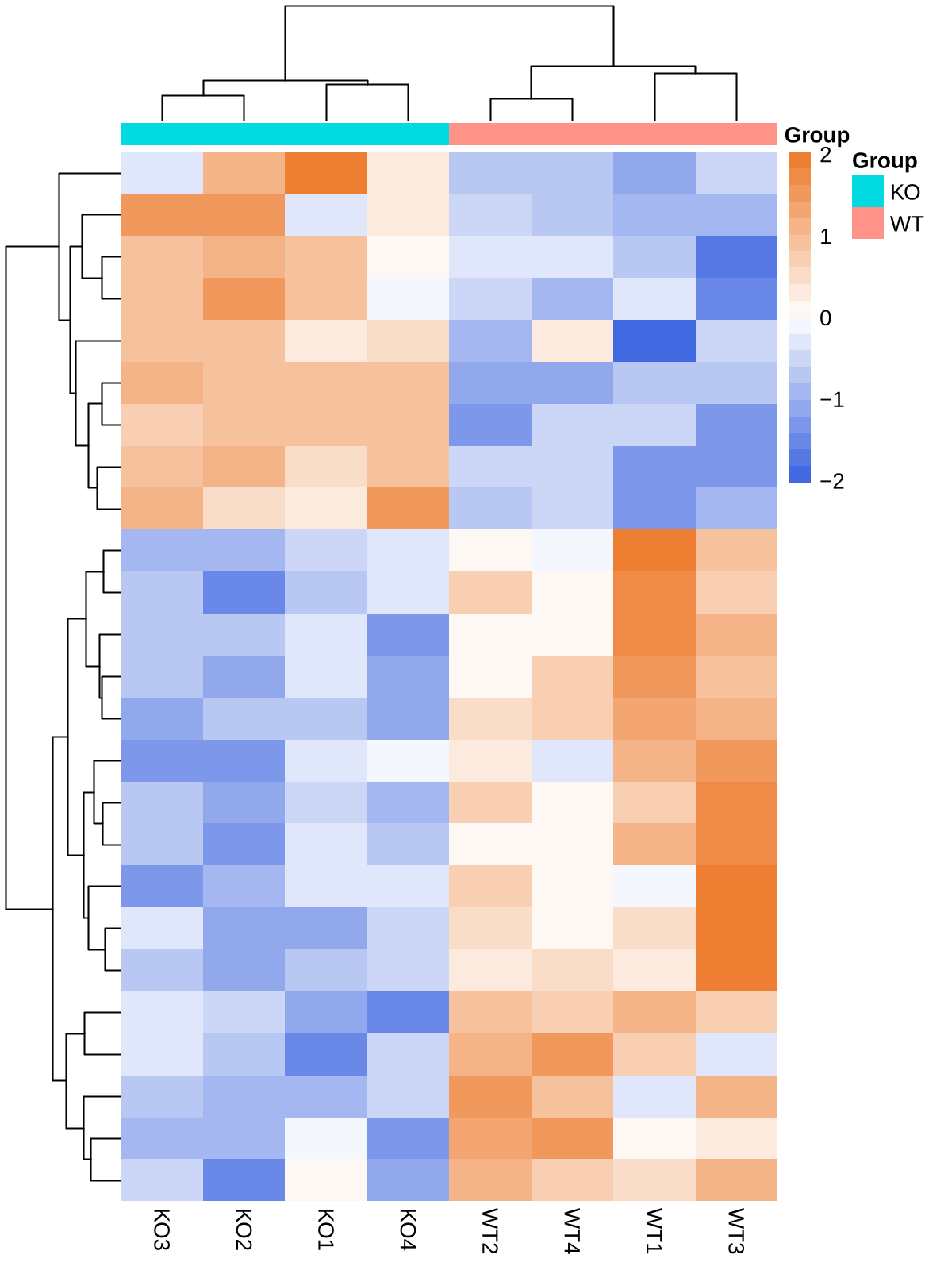 Hierarchical Clustering of Differential Proteins