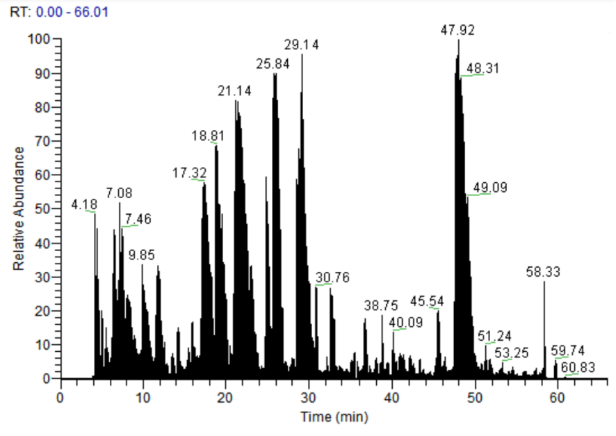 Total Ion Chromatogram (TIC) of DDA-MS Analysis
