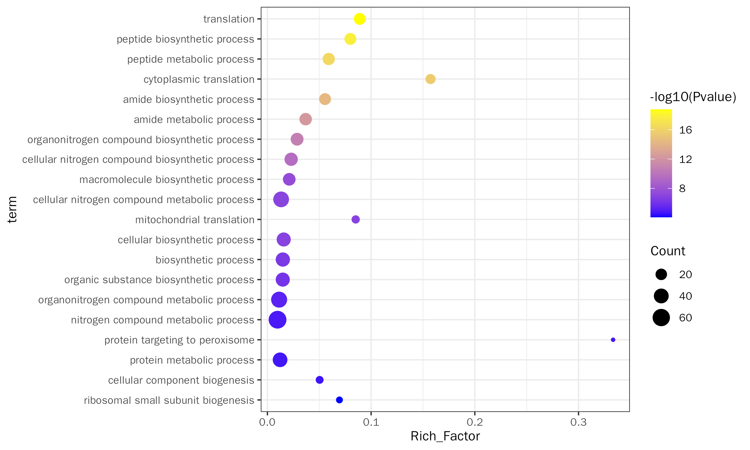 GO Biological Process Enrichment Analysis