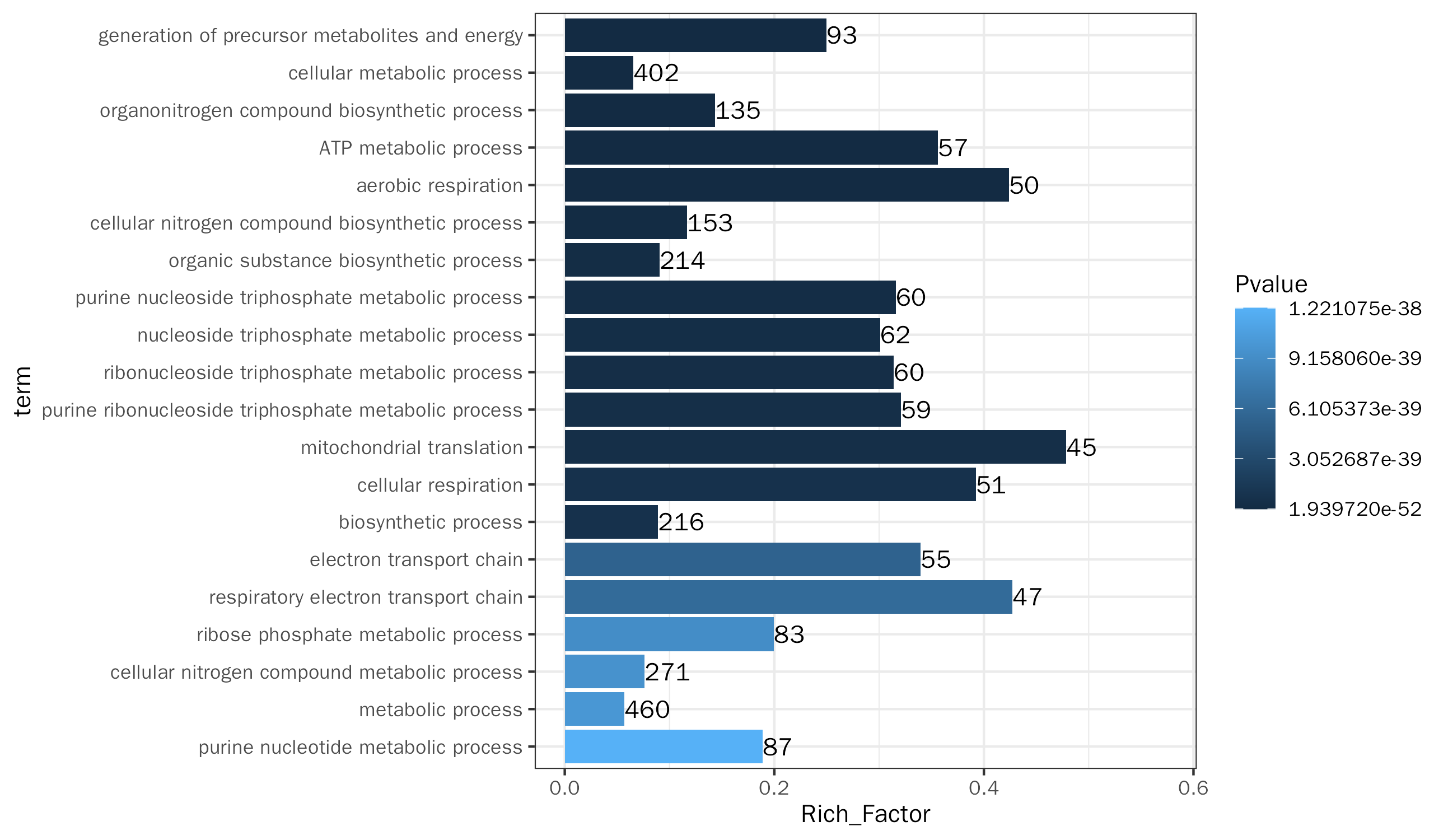 GO Biological Process Enrichment Analysis