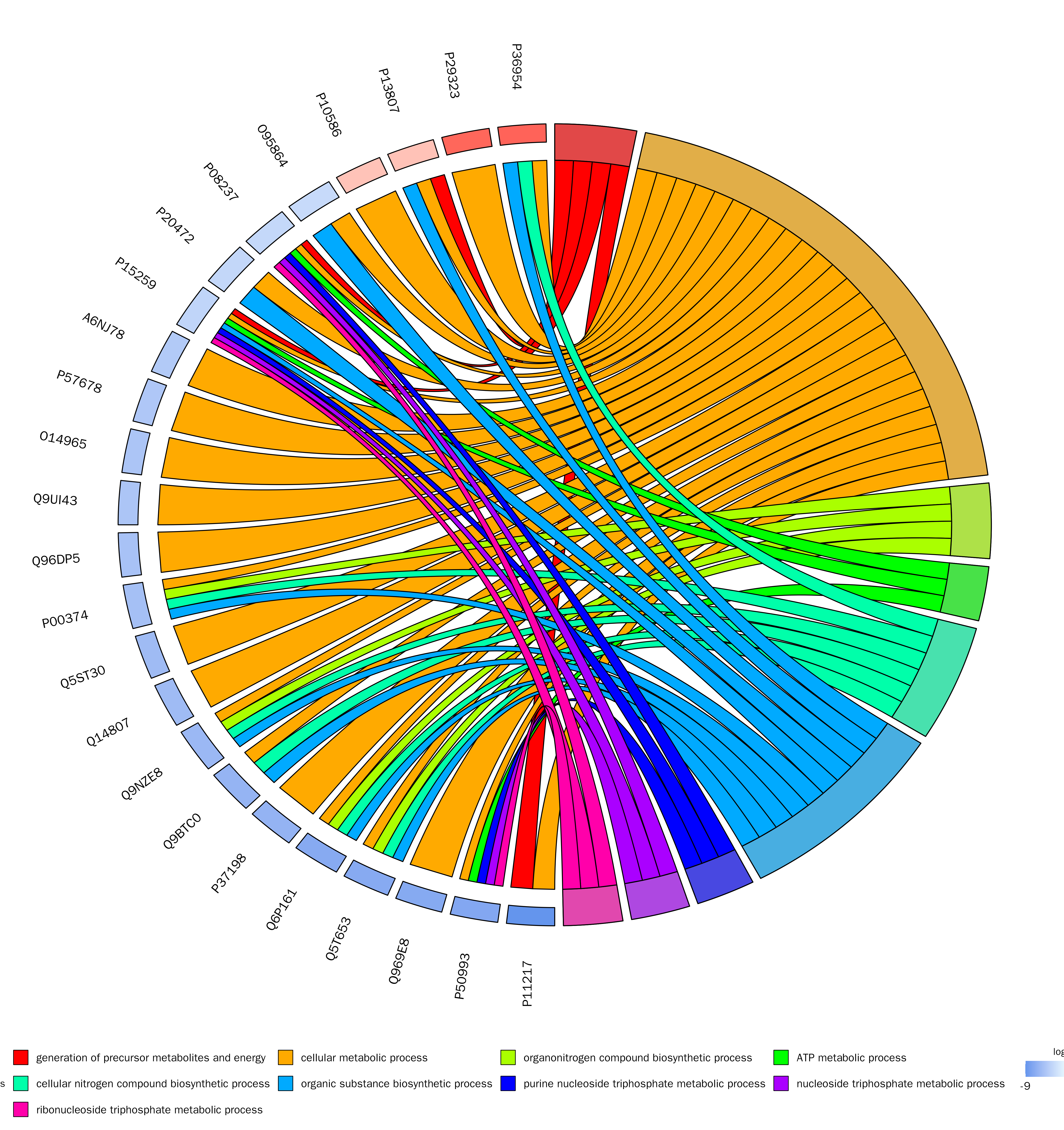 GO Enrichment Chord Diagram