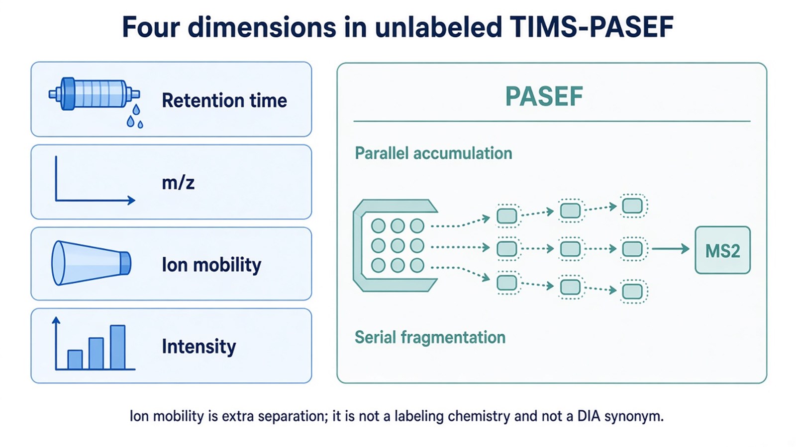Schematic of four recorded dimensions, retention time, m/z, ion mobility, and intensity, with TIMS accumulation and PASEF serial fragmentation feeding unlabeled protein values Schematic of four recorded dimensions, retention time, m/z, ion mobility, and intensity, with TIMS accumulation and PASEF serial fragmentation feeding unlabeled protein values