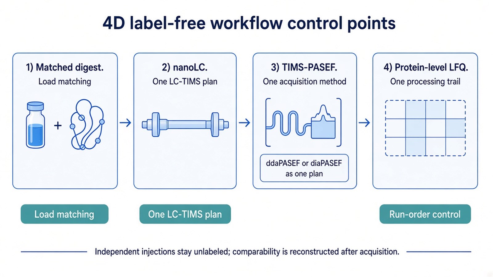 Workflow schematic from matched digestion through nanoLC, TIMS-PASEF, and protein-level LFQ, with load matching, one LC-TIMS plan, and run-order control marked