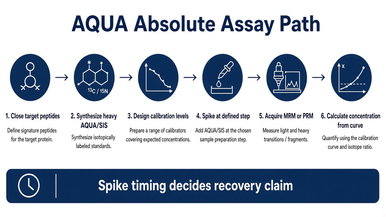 AQUA absolute assay path from closing target peptides through heavy standard synthesis, calibration design, defined spike timing, MRM or PRM acquisition, and concentration calculation