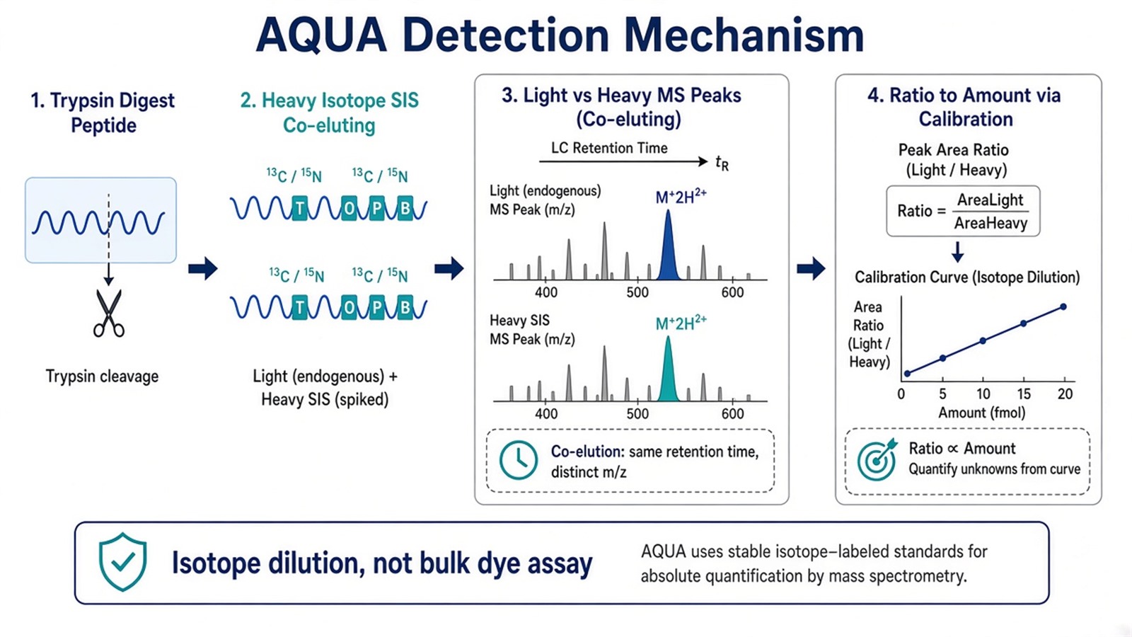 Isotope dilution mechanism of AQUA with matched heavy SIS and endogenous light peptide co-eluting and quantifying by peak-area ratio Isotope dilution mechanism of AQUA with matched heavy SIS and endogenous light peptide co-eluting and quantifying by peak-area ratio
