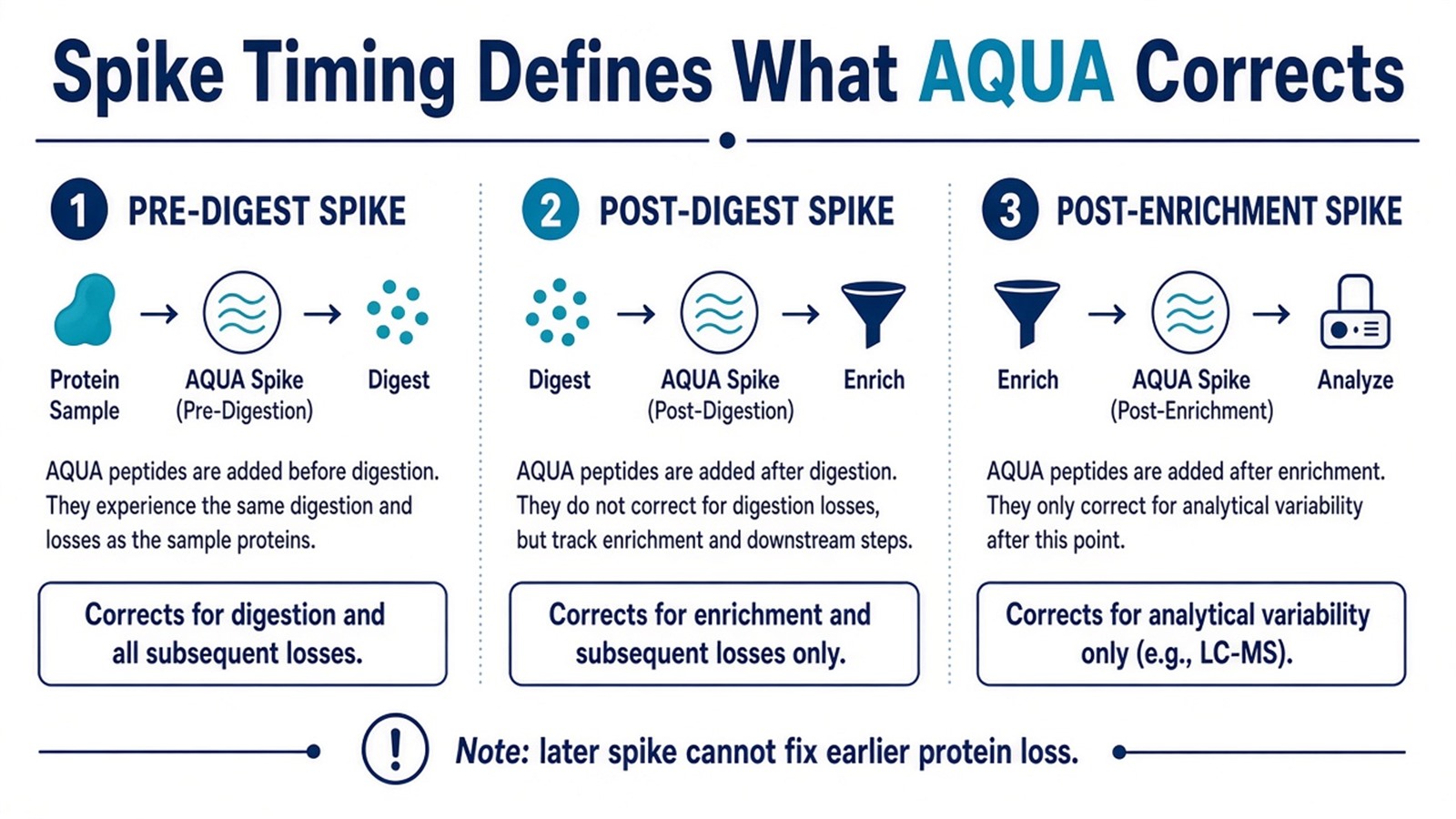 Spike-timing schematic showing what AQUA corrects at pre-digest, post-digest, and post-enrichment addition points Spike-timing schematic showing what AQUA corrects at pre-digest, post-digest, and post-enrichment addition points