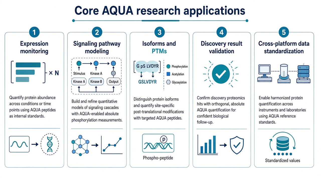 Five core AQUA applications in protein research including expression monitoring, pathway modeling, isoform and PTM quantification, discovery validation, and cross-platform standardization