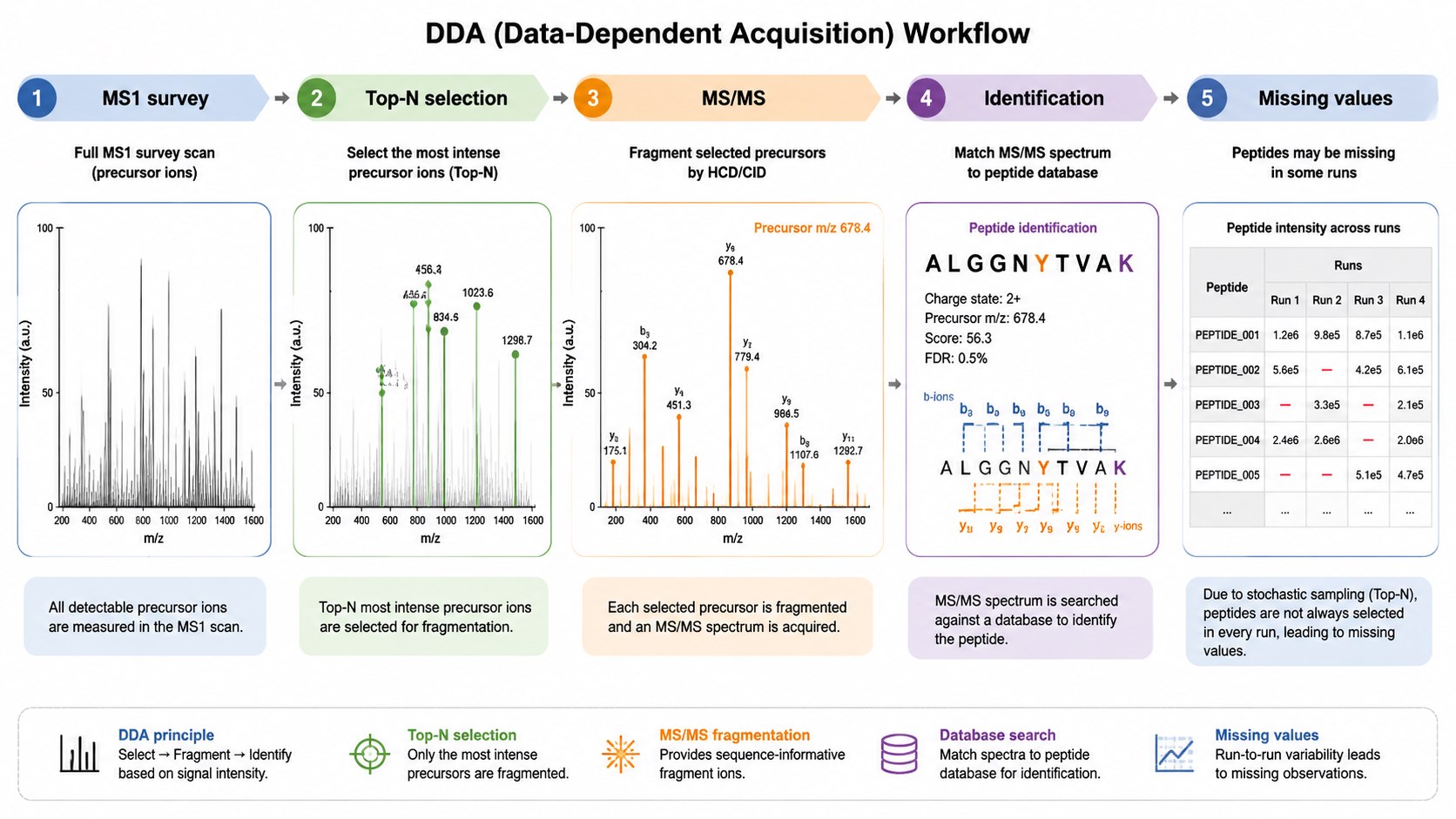 DDA workflow showing MS1 survey scan and Top-N intensity-driven precursor selection for MS/MS DDA workflow showing MS1 survey scan and Top-N intensity-driven precursor selection for MS/MS