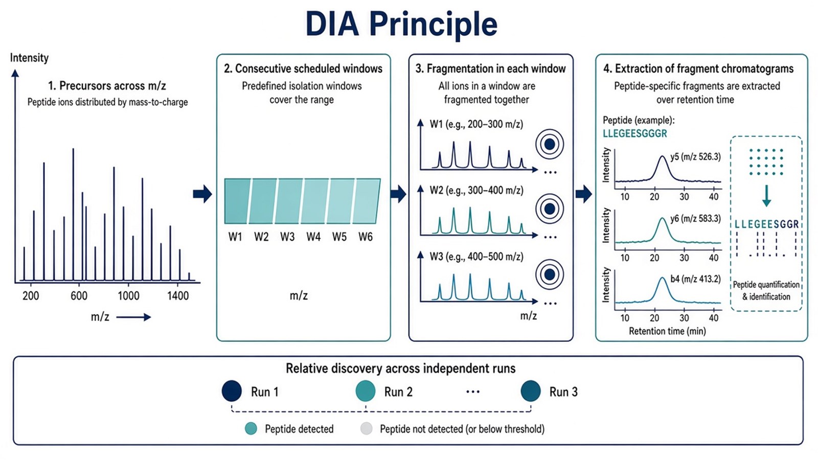 Schematic of DIA scheduled precursor windows with fragmentation in each window and extraction of fragment-ion chromatograms for relative peptide quantification Schematic of DIA scheduled precursor windows with fragmentation in each window and extraction of fragment-ion chromatograms for relative peptide quantification