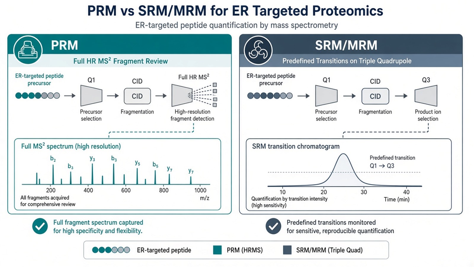 Comparison of PRM full high-resolution MS2 versus SRM predefined transitions for targeted ER proteomics Comparison of PRM full high-resolution MS2 versus SRM predefined transitions for targeted ER proteomics