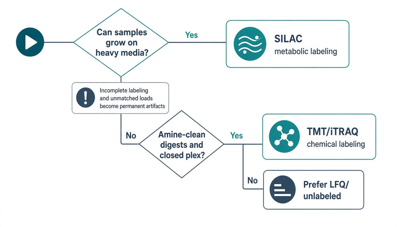 Decision flow from culture capability and amine-clean plex readiness to SILAC, TMT or iTRAQ, or label-free alternatives Decision flow from culture capability and amine-clean plex readiness to SILAC, TMT or iTRAQ, or label-free alternatives