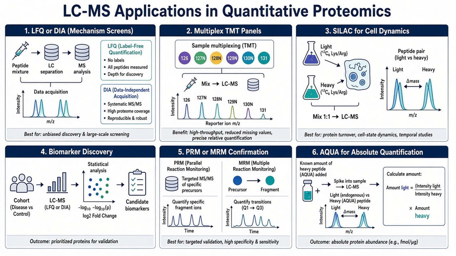 Application map of LC-MS quantitative proteomics from LFQ and TMT discovery to SILAC, biomarker screening, targeted confirmation, and AQUA absolute assays
