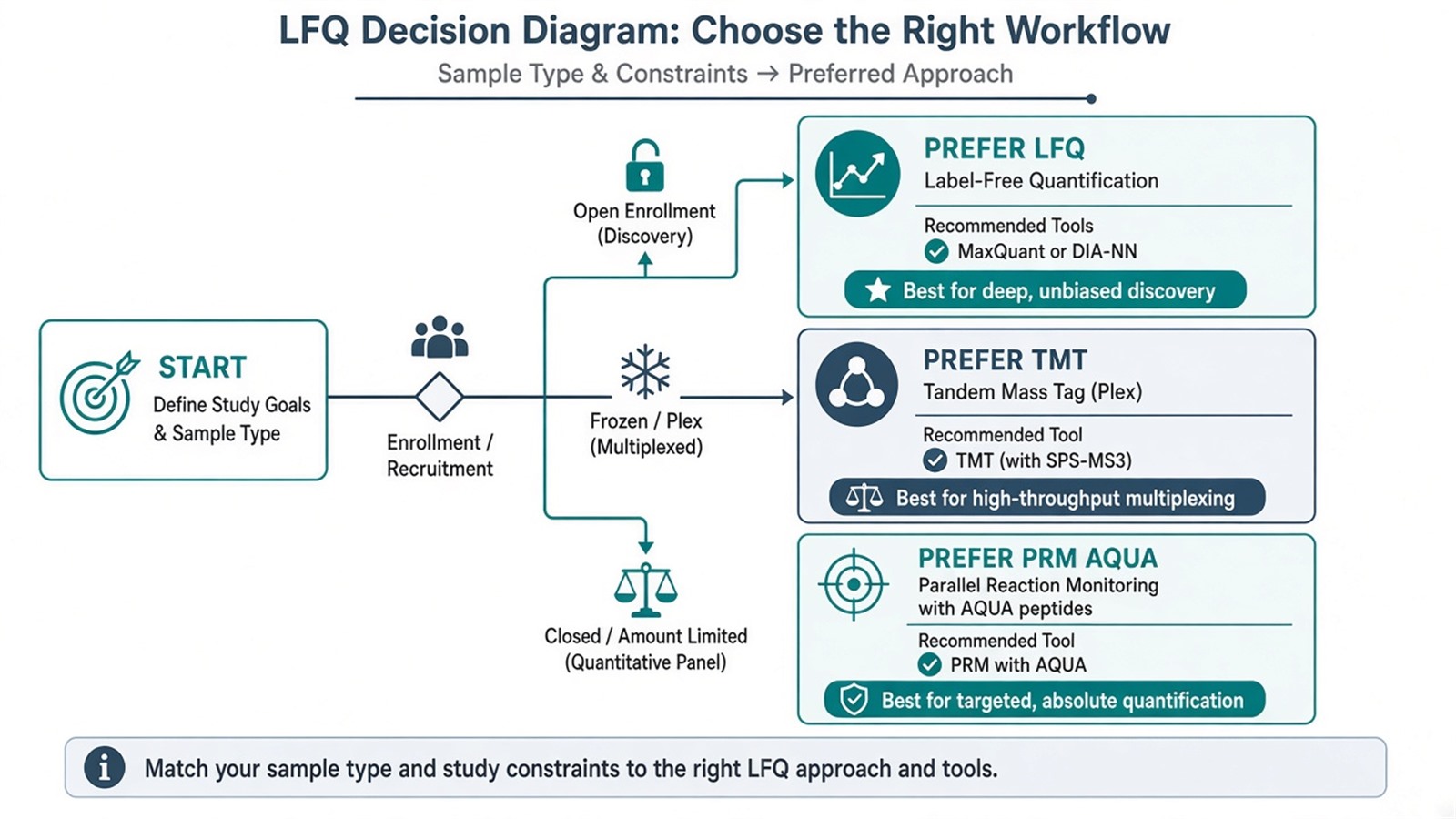 Decision flow for LFQ advantages applications and tools versus TMT multiplex and targeted absolute assays