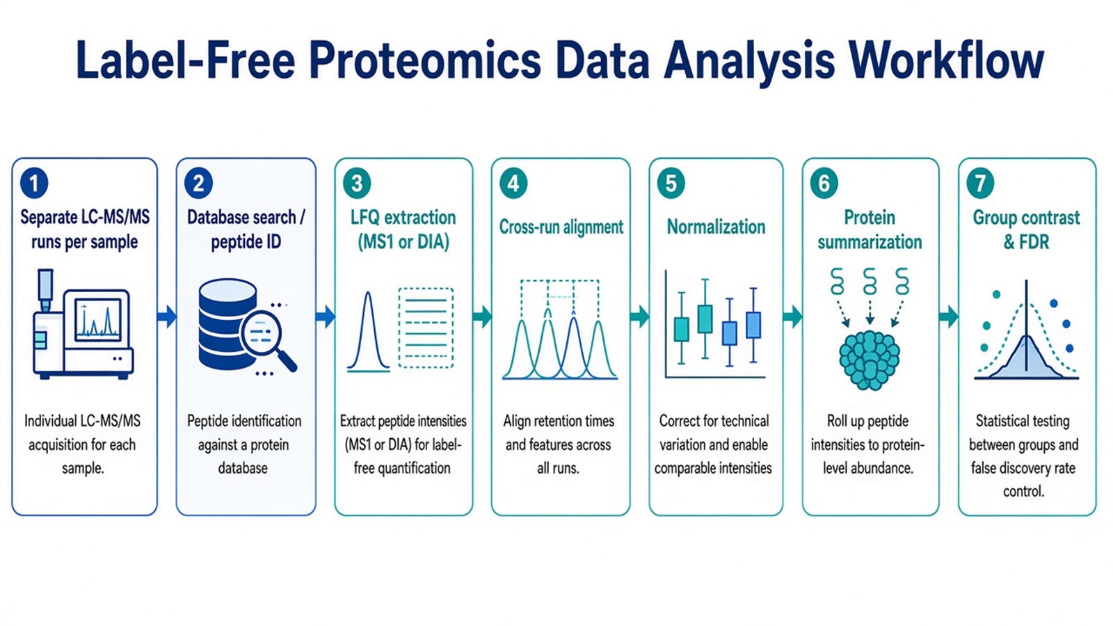 Label-free proteomics analysis sequence from separate LC-MS/MS runs through identification, LFQ extraction, alignment, normalization, and contrast testing