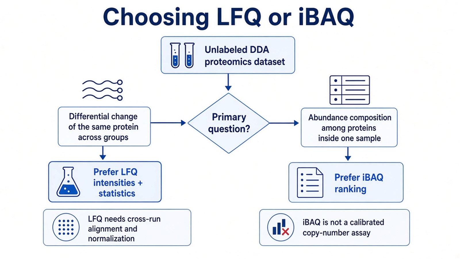 Decision flow from an unlabeled DDA dataset to LFQ for same-protein differential change or iBAQ for within-sample abundance composition Decision flow from an unlabeled DDA dataset to LFQ for same-protein differential change or iBAQ for within-sample abundance composition