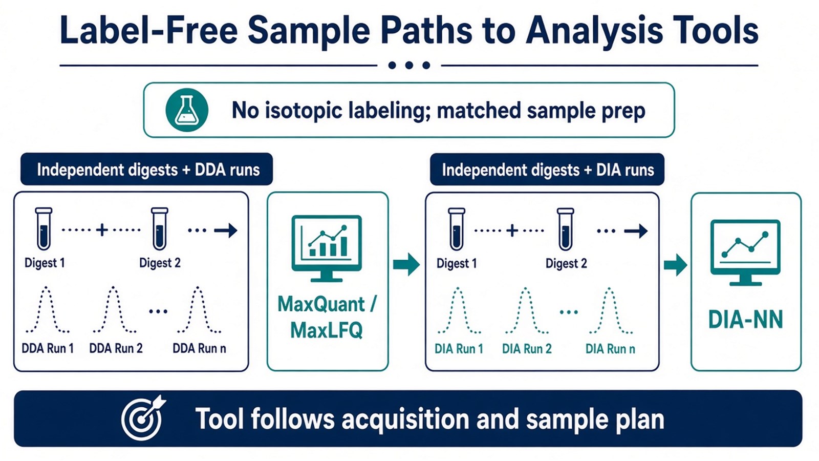 Label-free sample paths from independent unlabeled digests to DDA-MaxQuant or DIA-DIA-NN analysis Label-free sample paths from independent unlabeled digests to DDA-MaxQuant or DIA-DIA-NN analysis
