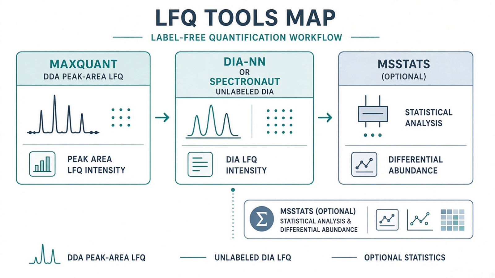 LFQ tools map showing MaxQuant for DDA peak-area LFQ, DIA-NN or Spectronaut for unlabeled DIA, and optional statistical packages