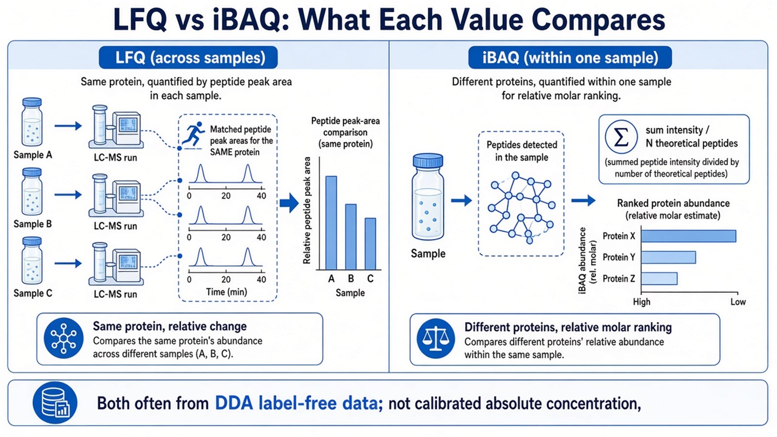 Side-by-side schematic of LFQ same-protein comparison across samples versus iBAQ relative molar ranking of different proteins within one sample Side-by-side schematic of LFQ same-protein comparison across samples versus iBAQ relative molar ranking of different proteins within one sample