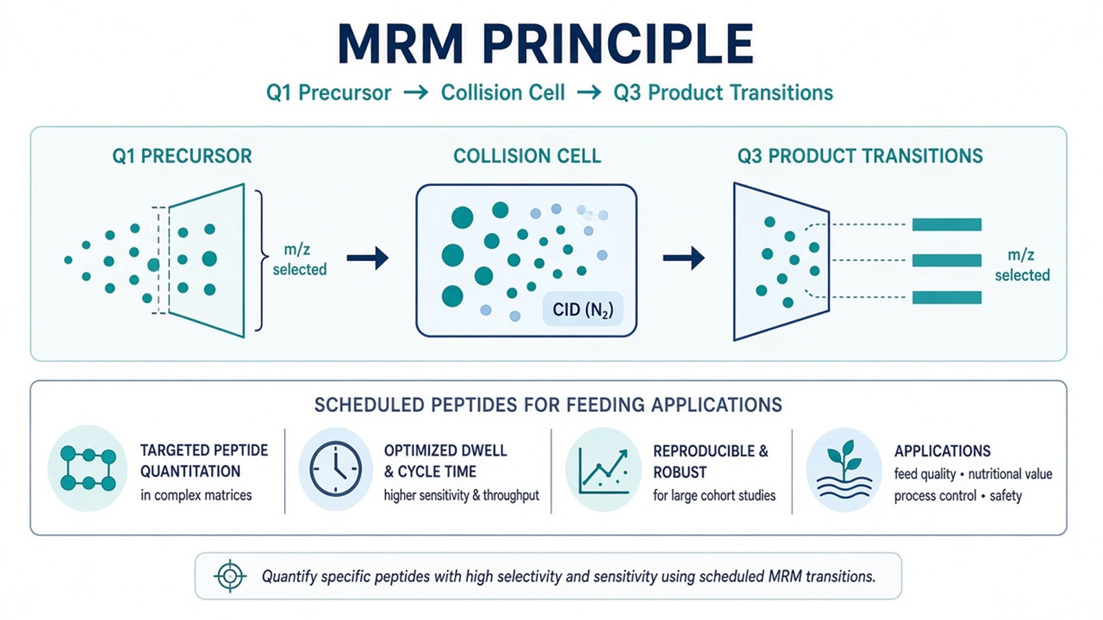 Brief MRM principle from Q1 precursor selection through fragmentation to Q3 product transitions used in protein quantification applications Brief MRM principle from Q1 precursor selection through fragmentation to Q3 product transitions used in protein quantification applications