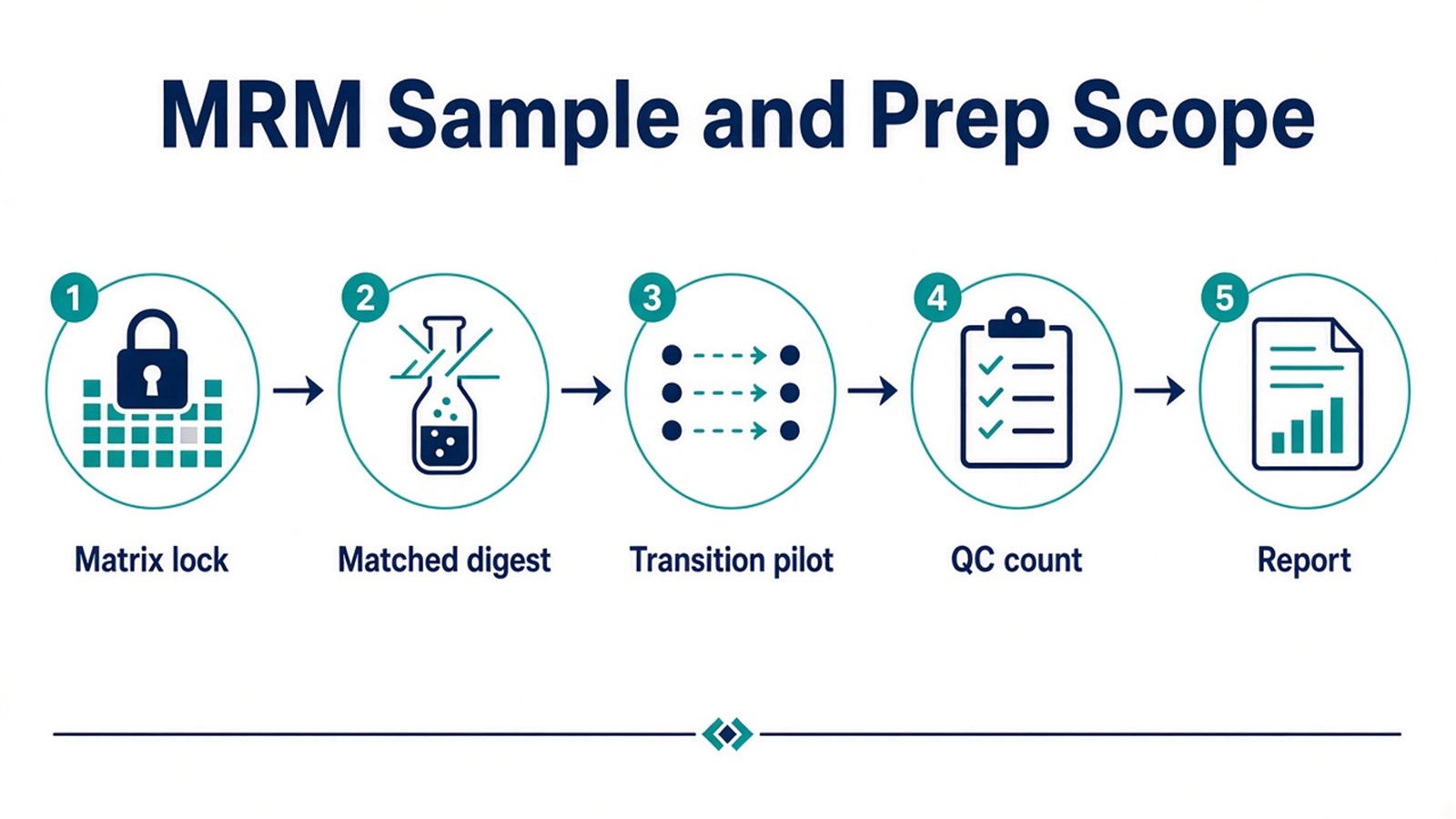 MRM scoping workflow from matched sample pretreatment and matrix pilot through transition lock, cohort plus QC acquisition, and validation reporting MRM scoping workflow from matched sample pretreatment and matrix pilot through transition lock, cohort plus QC acquisition, and validation reporting