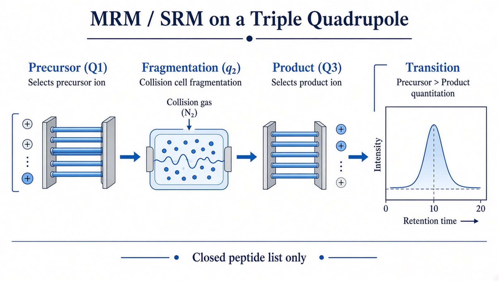 Schematic of MRM on a triple quadrupole from Q1 precursor selection through collision-cell fragmentation to Q3 product selection and a transition chromatogram Schematic of MRM on a triple quadrupole from Q1 precursor selection through collision-cell fragmentation to Q3 product selection and a transition chromatogram