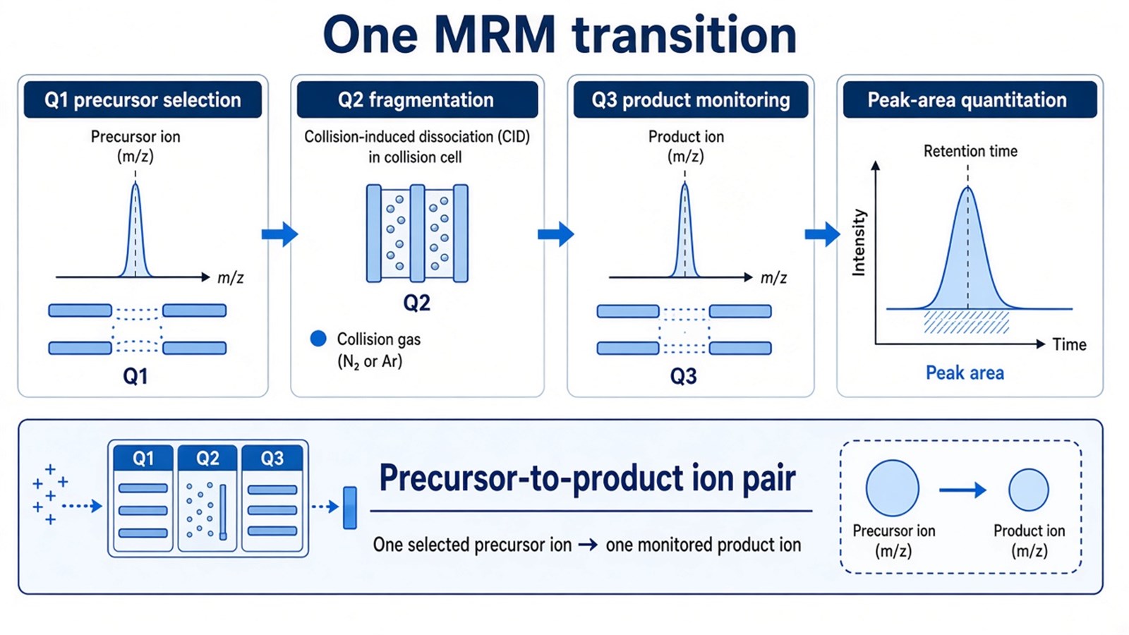One MRM transition from Q1 precursor selection through Q2 fragmentation and Q3 product monitoring to peak-area quantitation