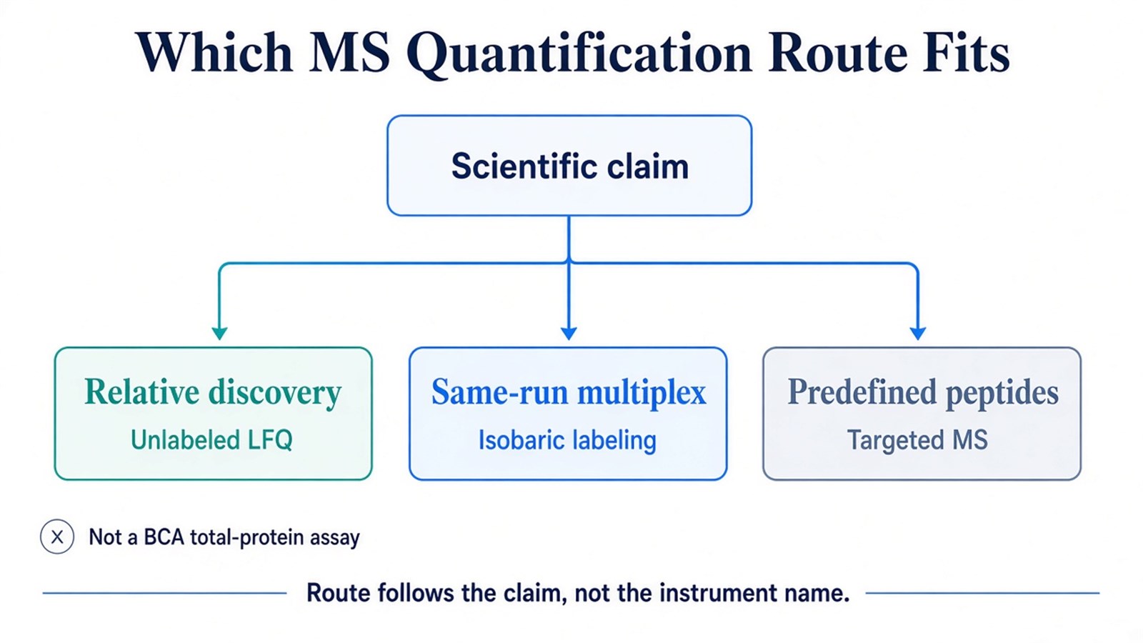 Decision schematic showing MS protein quantification routes for relative discovery, multiplexed comparison, and targeted amount claims Decision schematic showing MS protein quantification routes for relative discovery, multiplexed comparison, and targeted amount claims