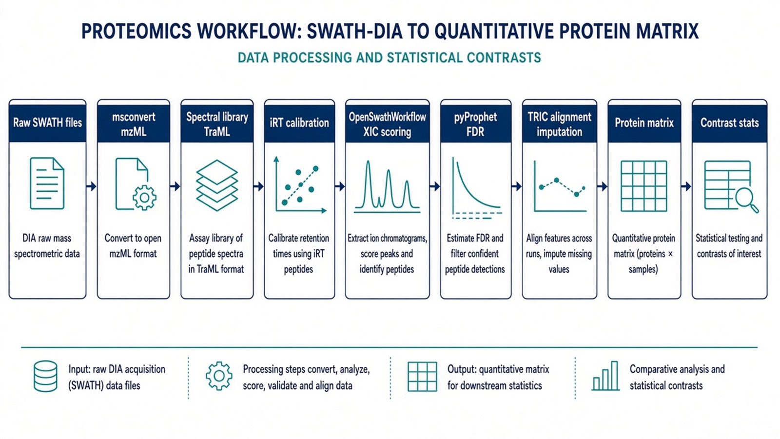 OpenSWATH workflow from mzML conversion and spectral library through OpenSwathWorkflow, FDR scoring, alignment, and contrast-ready quantitative matrix OpenSWATH workflow from mzML conversion and spectral library through OpenSwathWorkflow, FDR scoring, alignment, and contrast-ready quantitative matrix