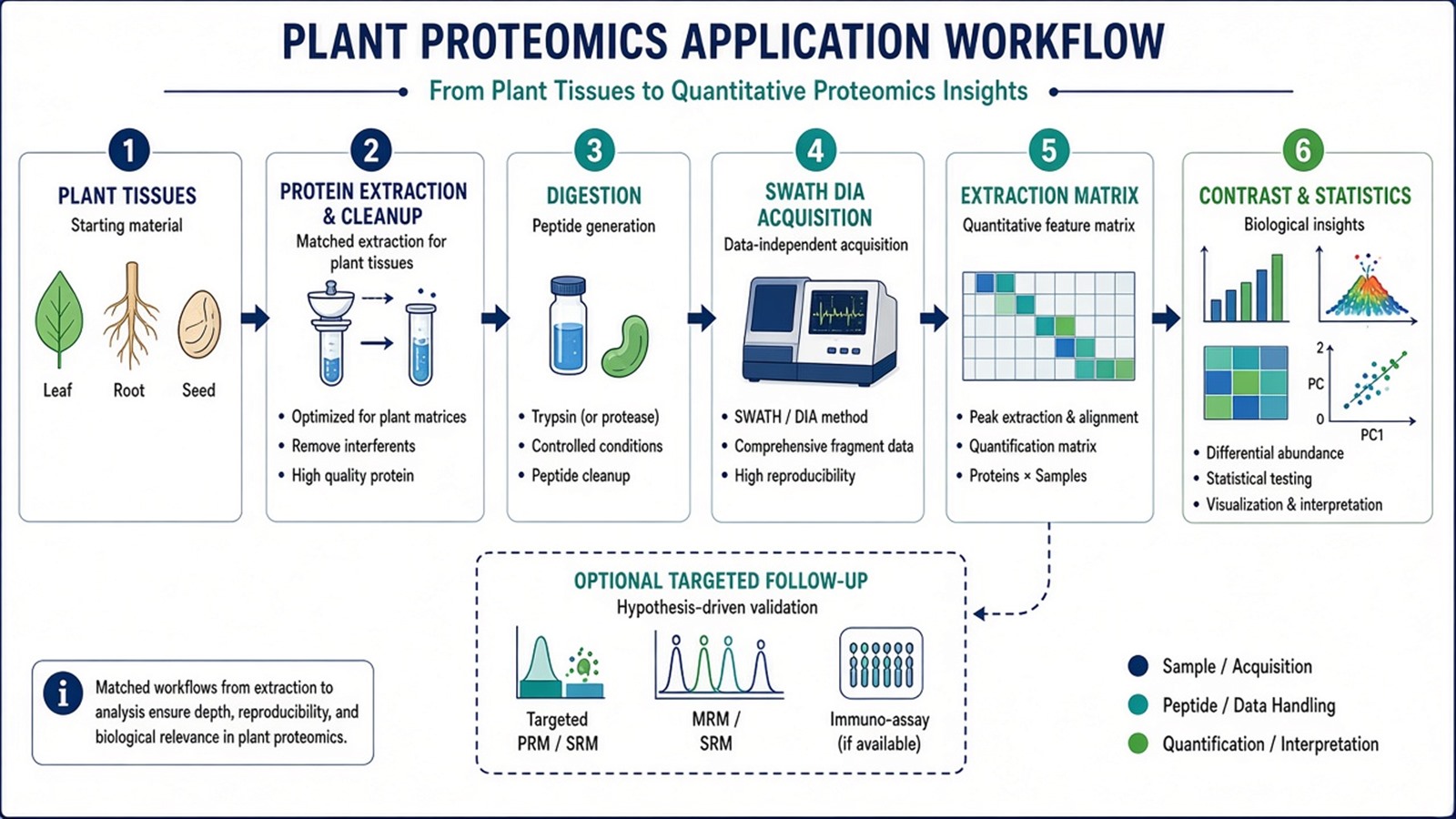 Plant SWATH application flow from matched tissue prep and digestion through SWATH acquisition, extraction, contrast testing, and optional targeted follow-up Plant SWATH application flow from matched tissue prep and digestion through SWATH acquisition, extraction, contrast testing, and optional targeted follow-up