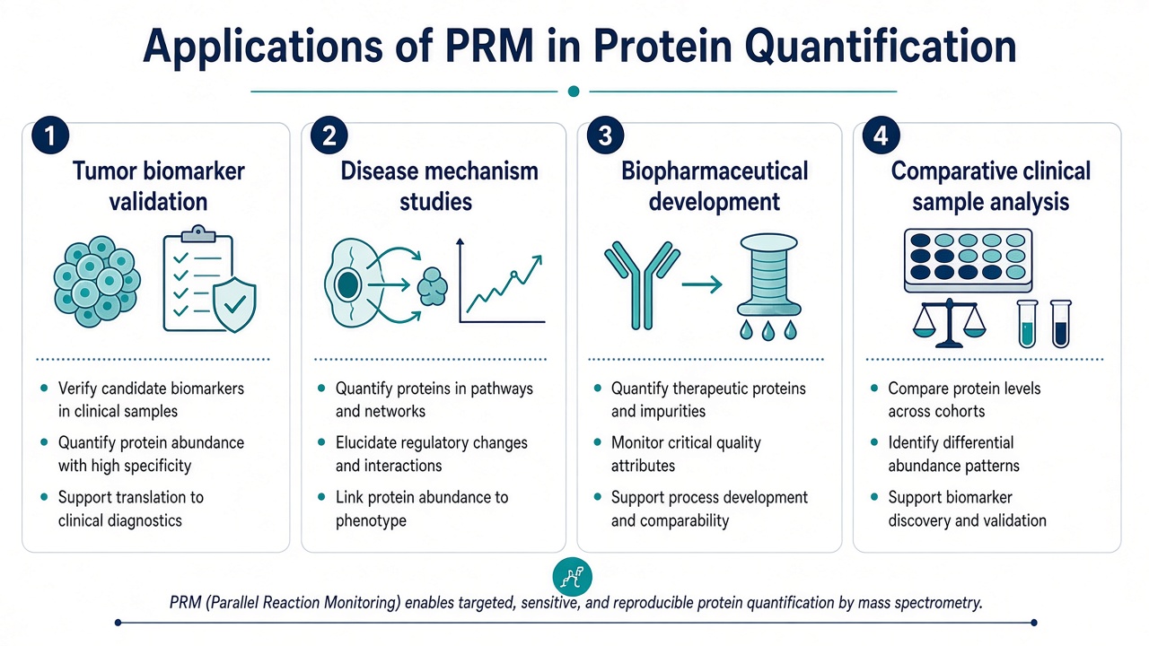 Four PRM application scenarios spanning tumor biomarker validation, disease mechanism studies, biopharmaceutical development, and clinical sample comparison Four PRM application scenarios spanning tumor biomarker validation, disease mechanism studies, biopharmaceutical development, and clinical sample comparison
