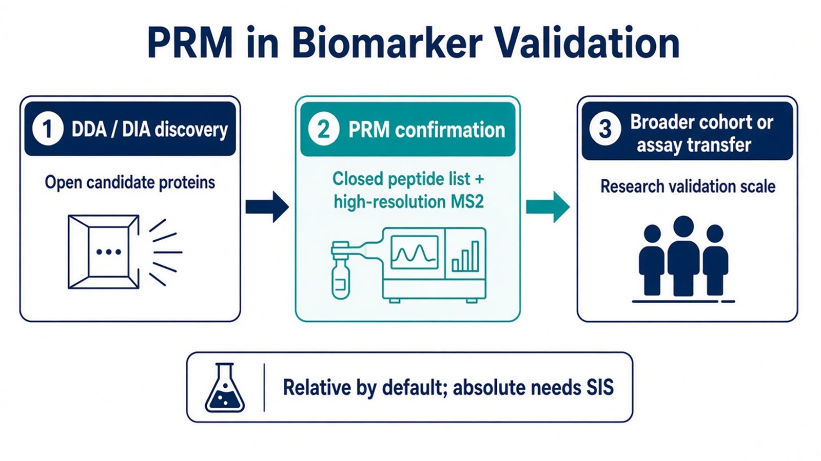 Three-stage biomarker path from DDA or DIA discovery through PRM confirmation of a closed peptide list to broader cohort or assay transfer