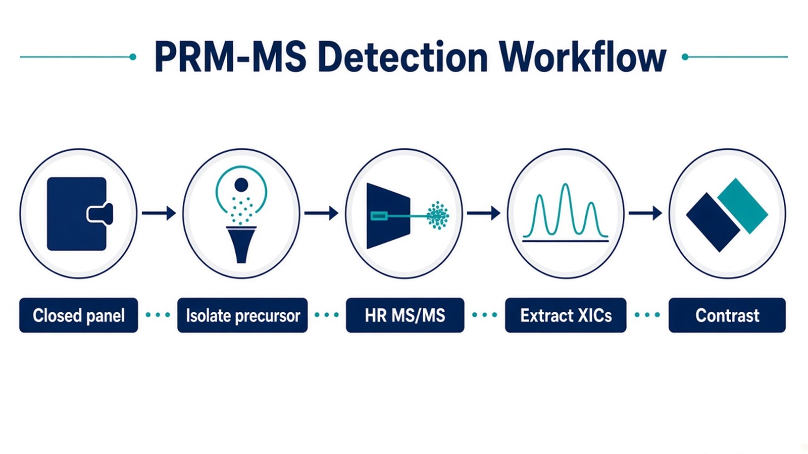 PRM-MS workflow from closed peptide panel and matched digest through scheduled precursor isolation, high-resolution product-ion recording, and contrast or SIS calibration PRM-MS workflow from closed peptide panel and matched digest through scheduled precursor isolation, high-resolution product-ion recording, and contrast or SIS calibration