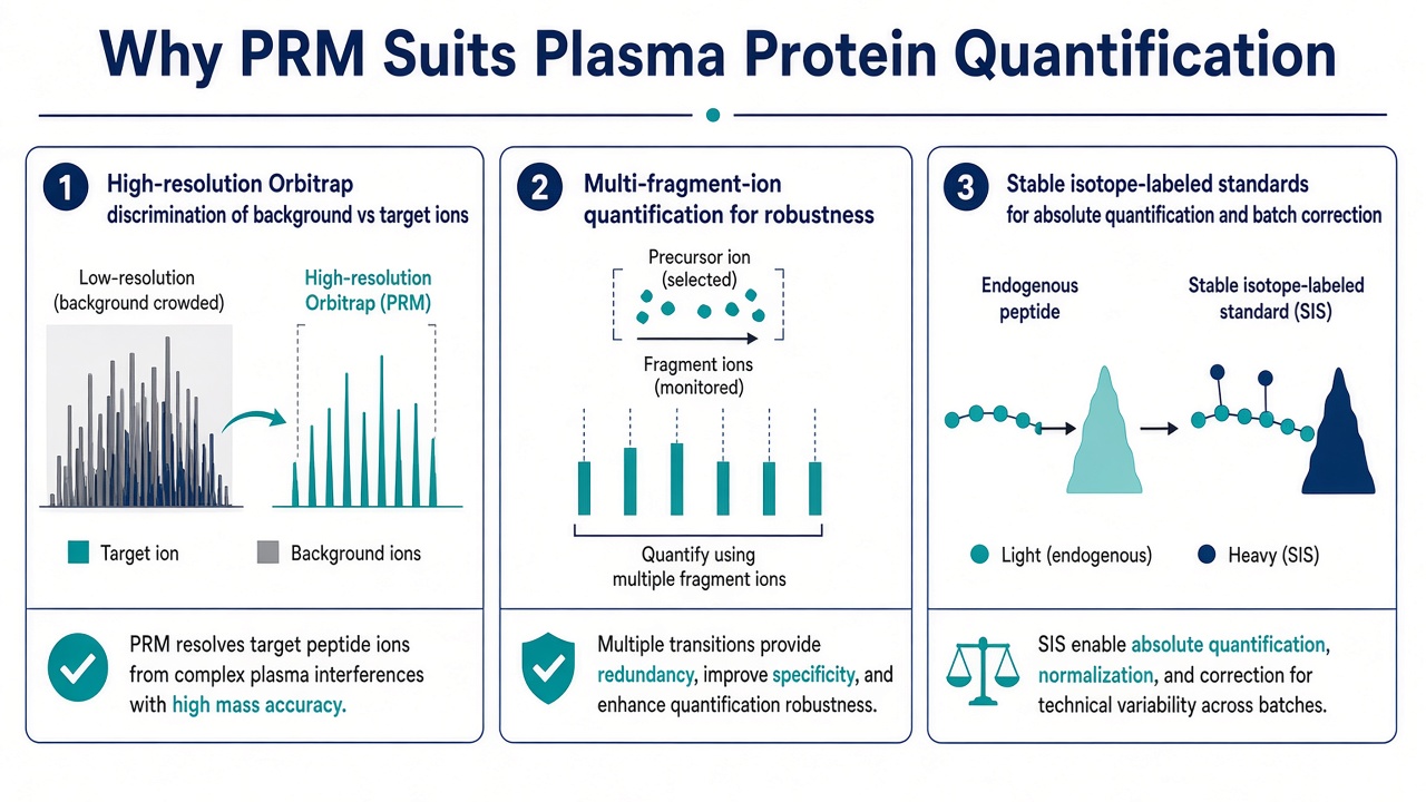 Three reasons PRM suits plasma quantification including high-resolution discrimination, multi-fragment robustness, and SIL standards for absolute quantitation Three reasons PRM suits plasma quantification including high-resolution discrimination, multi-fragment robustness, and SIL standards for absolute quantitation