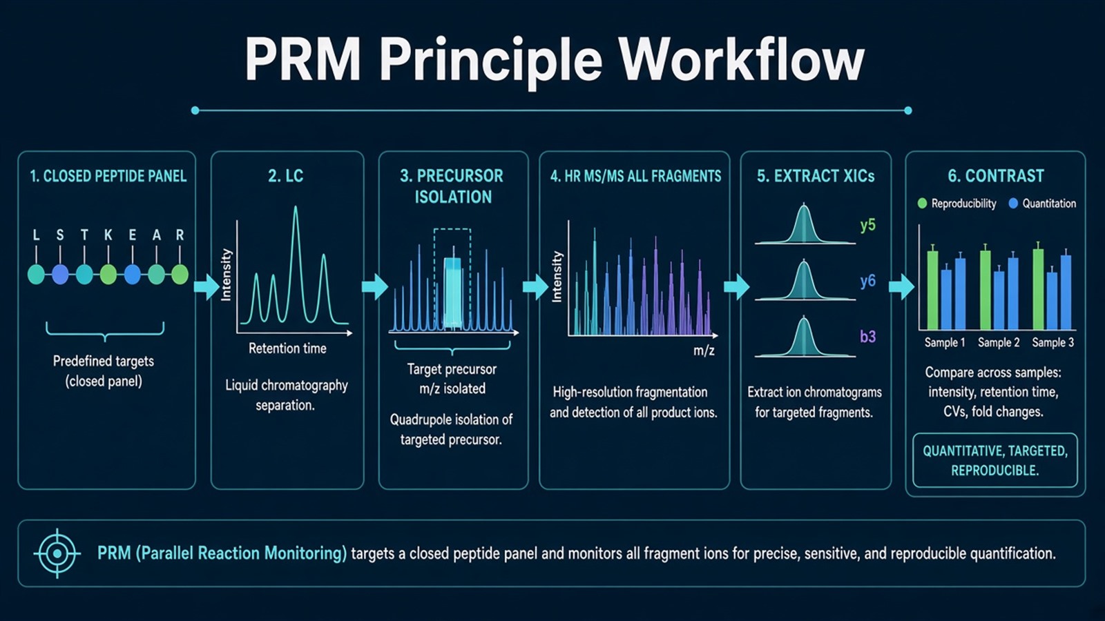 PRM principle workflow from closed peptide panel and matched prep through scheduled precursor isolation, HR MS/MS, fragment extraction, and contrast testing PRM principle workflow from closed peptide panel and matched prep through scheduled precursor isolation, HR MS/MS, fragment extraction, and contrast testing