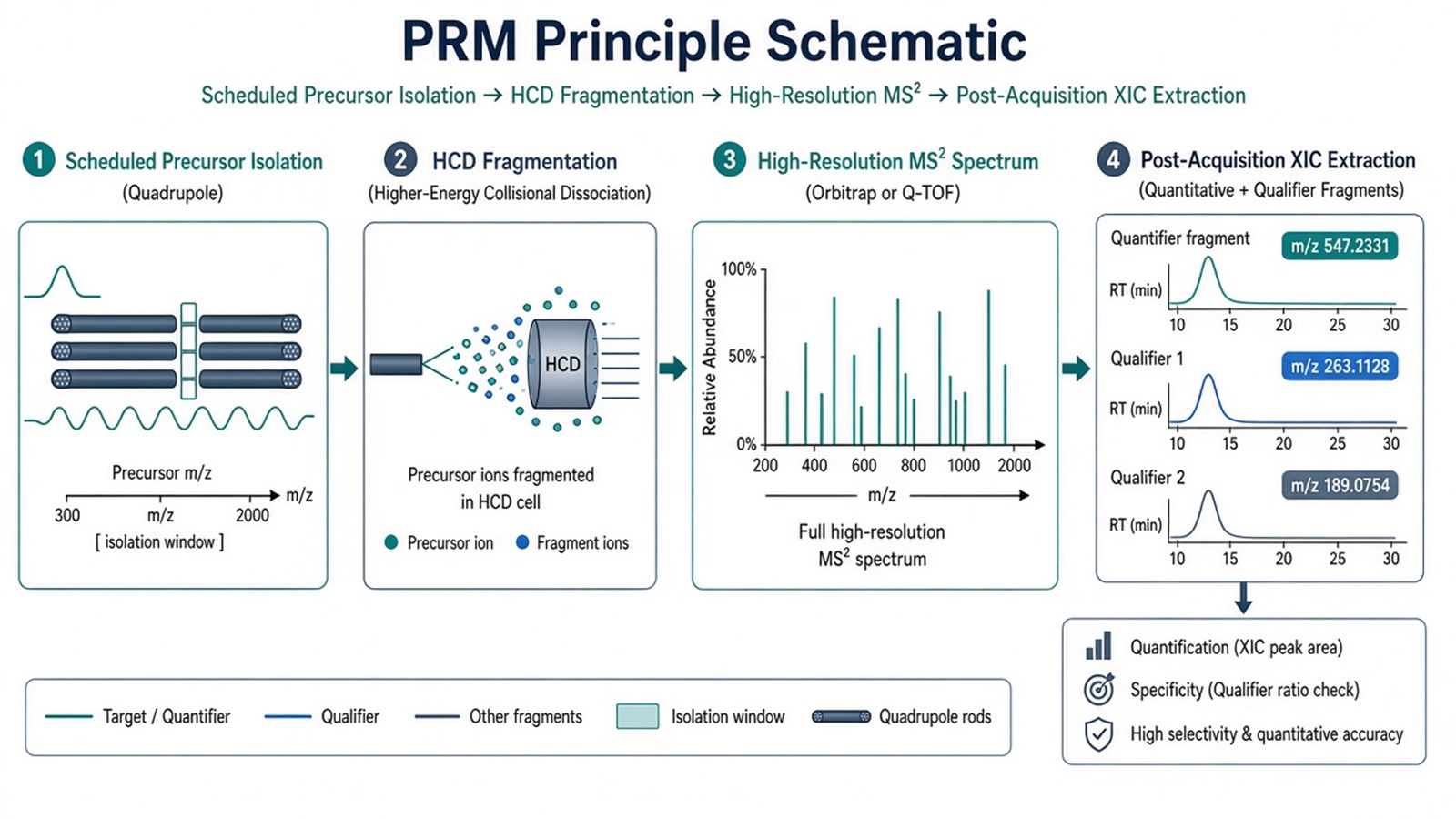 PRM principle schematic from scheduled precursor isolation and HCD to full high-resolution MS2 and post-acquisition fragment XIC extraction PRM principle schematic from scheduled precursor isolation and HCD to full high-resolution MS2 and post-acquisition fragment XIC extraction