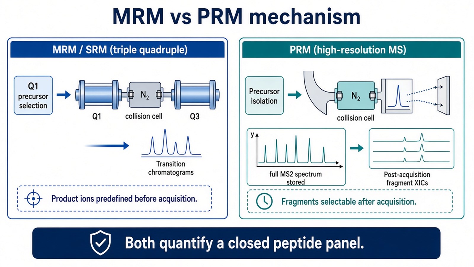Comparison of MRM transition monitoring on a triple quadrupole with PRM precursor isolation and post-acquisition fragment XIC extraction on high-resolution MS