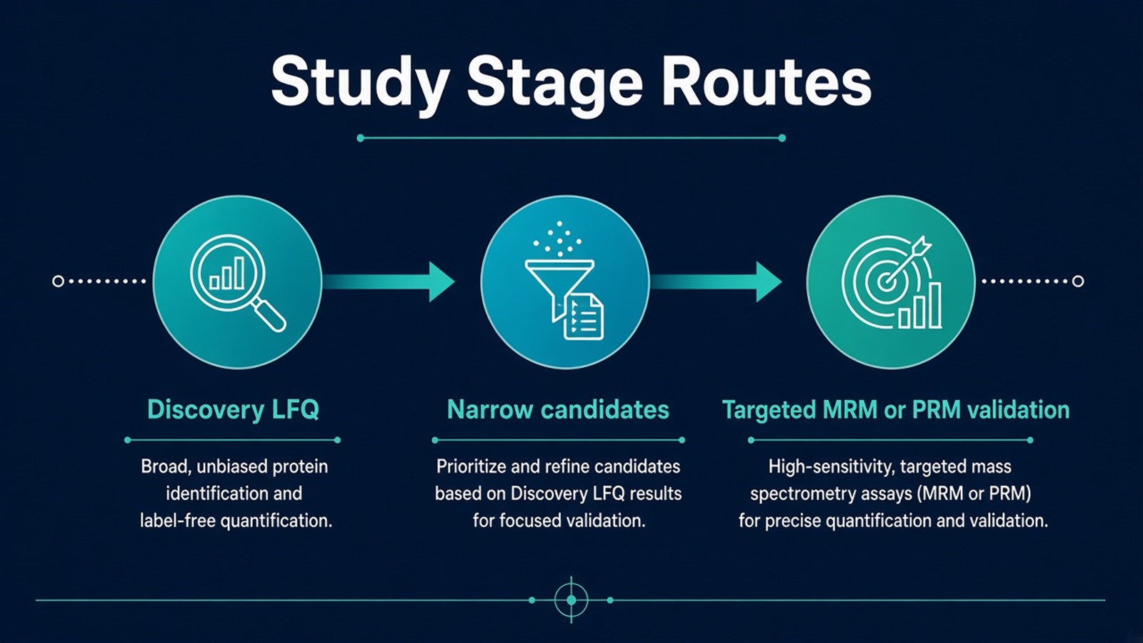 Study stage workflow from label-free LFQ discovery through candidate narrowing to targeted MRM or PRM validation measurement Study stage workflow from label-free LFQ discovery through candidate narrowing to targeted MRM or PRM validation measurement