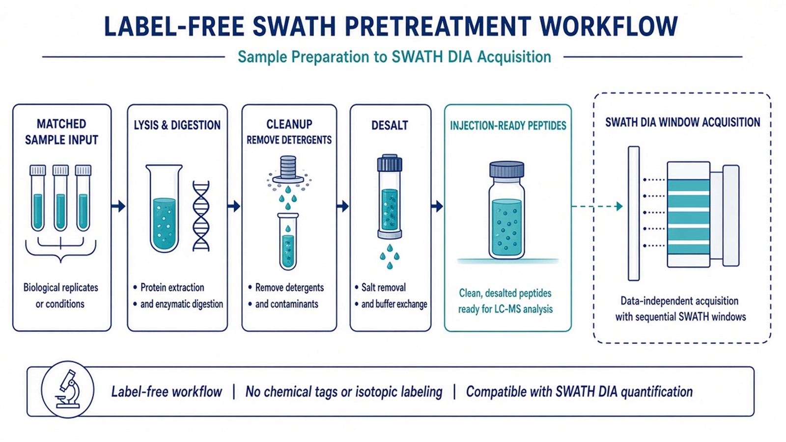 Label-free SWATH pretreatment from matched lysis and cleanup through desalted injection-ready digests before windowed DIA acquisition